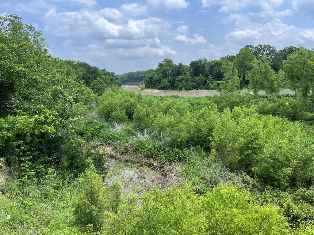 2371 County Road 2371 Road Meridian, TX 76665 - Photo 31 of 34 a view of a bunch of trees and bushes