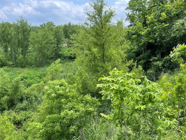 a view of a lush green outdoor space with a lake view