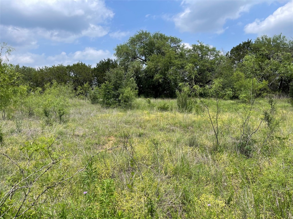 2371 County Road 2371 Road Meridian, TX 76665 - Photo 33 of 34 a view of a lush green outdoor space with a lake view