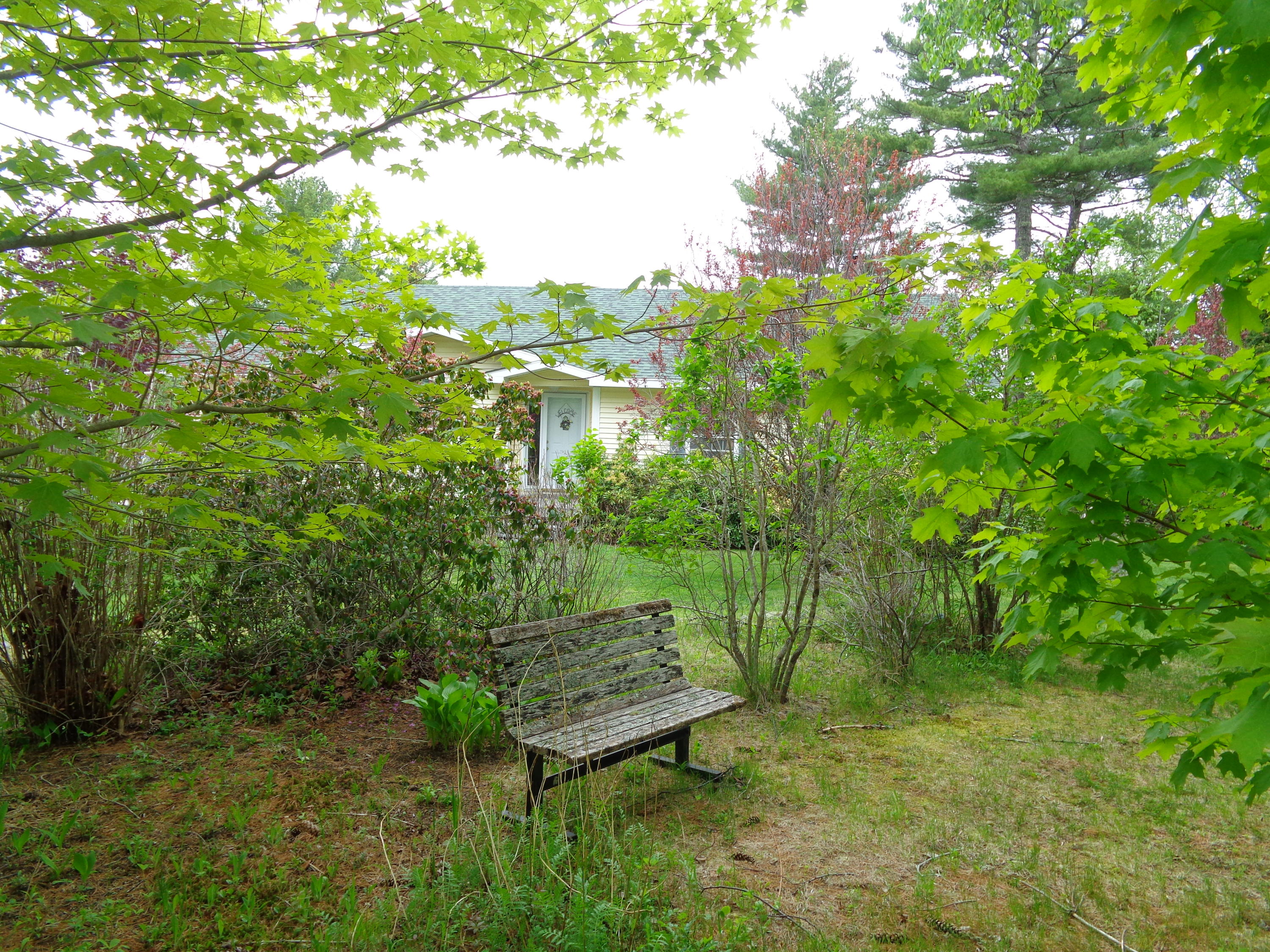 46 Fuller Road Sorrento, ME 04677 - Photo 36 of 45 Well landscaped yard