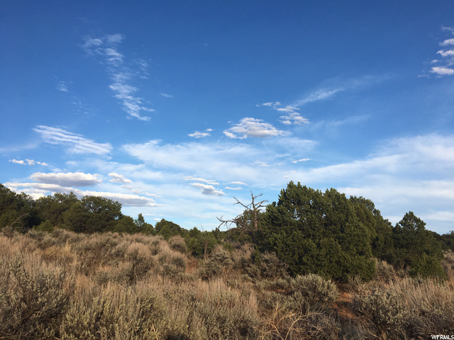 1300 West Summit Road, Unit 14 Monticello, UT 84535 - Photo 1 of 1 Pines and Junipers