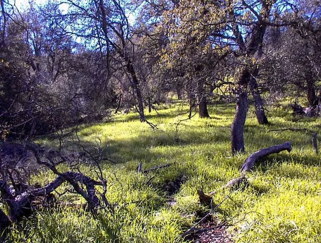 a view of swimming pool with a yard