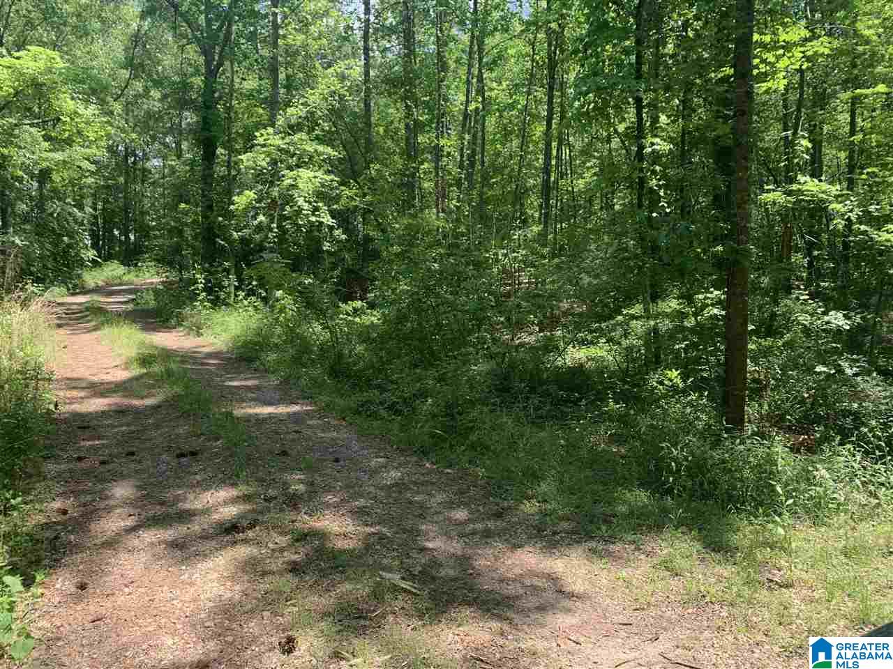 4 Highway 431, Unit 4 Heflin, AL 36264 - Photo 2 of 6