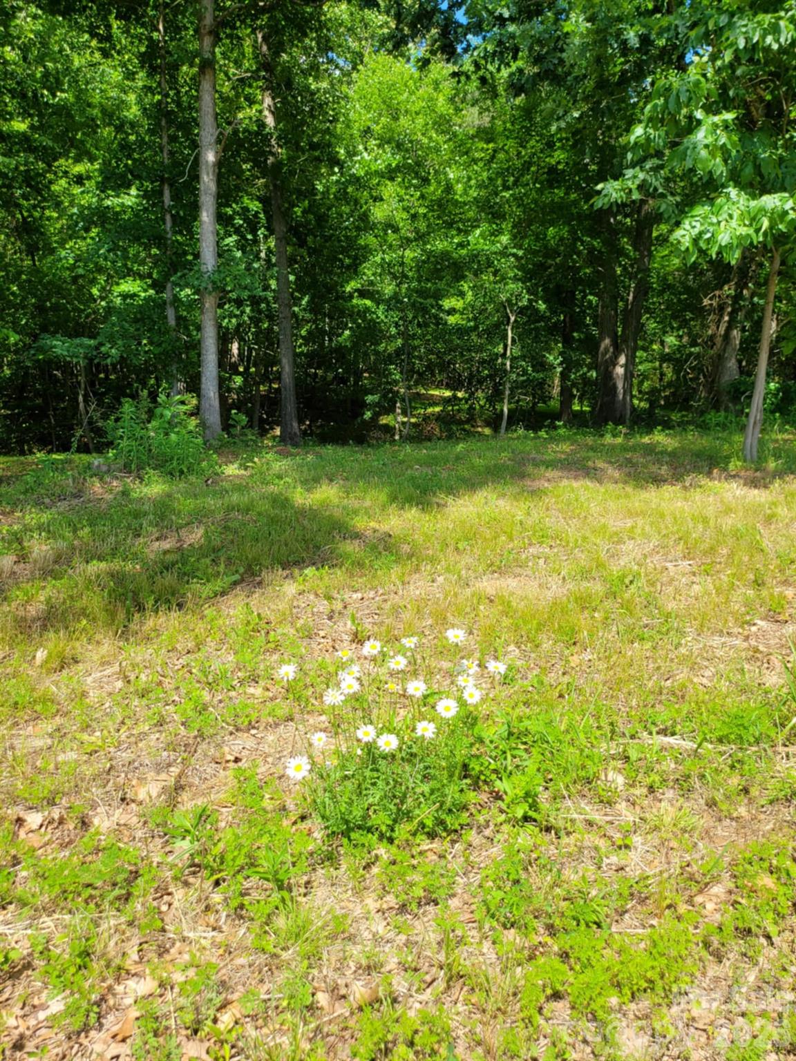 0 Millingport Road, Unit 1 Albemarle, NC 28001 - Photo 19 of 29