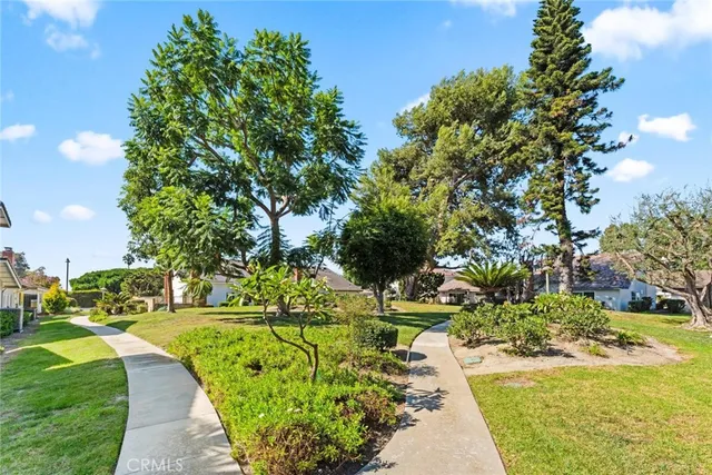 a view of a park with large trees