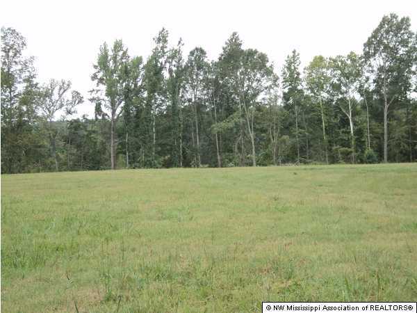 1148 Hogfoot Road Sarah, MS 38665 - Photo 5 of 5 Additional Photo