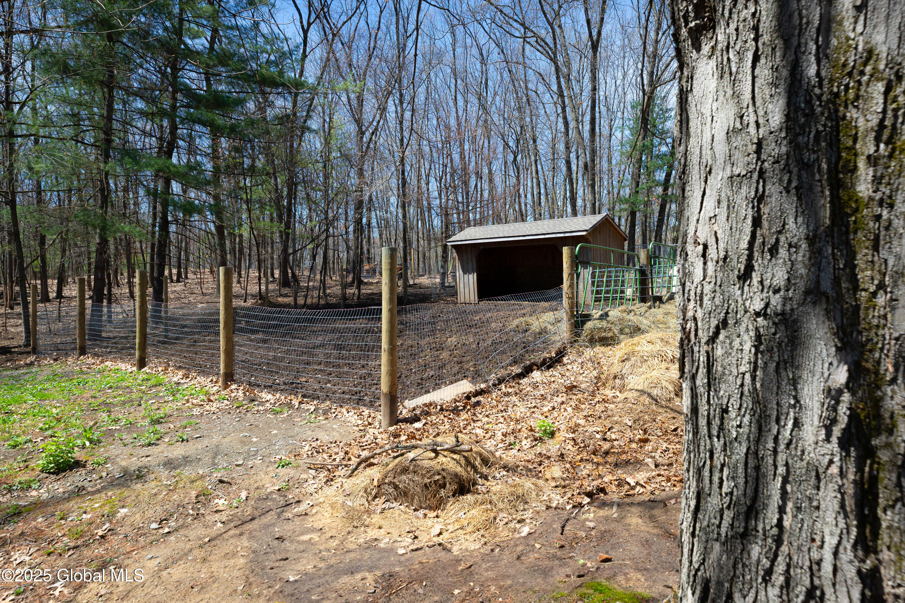 178 Clamsteam Road Halfmoon, NY 12065 - Photo 22 of 52 RDP 25-0429 178 Clamsteam Rd - Milligan