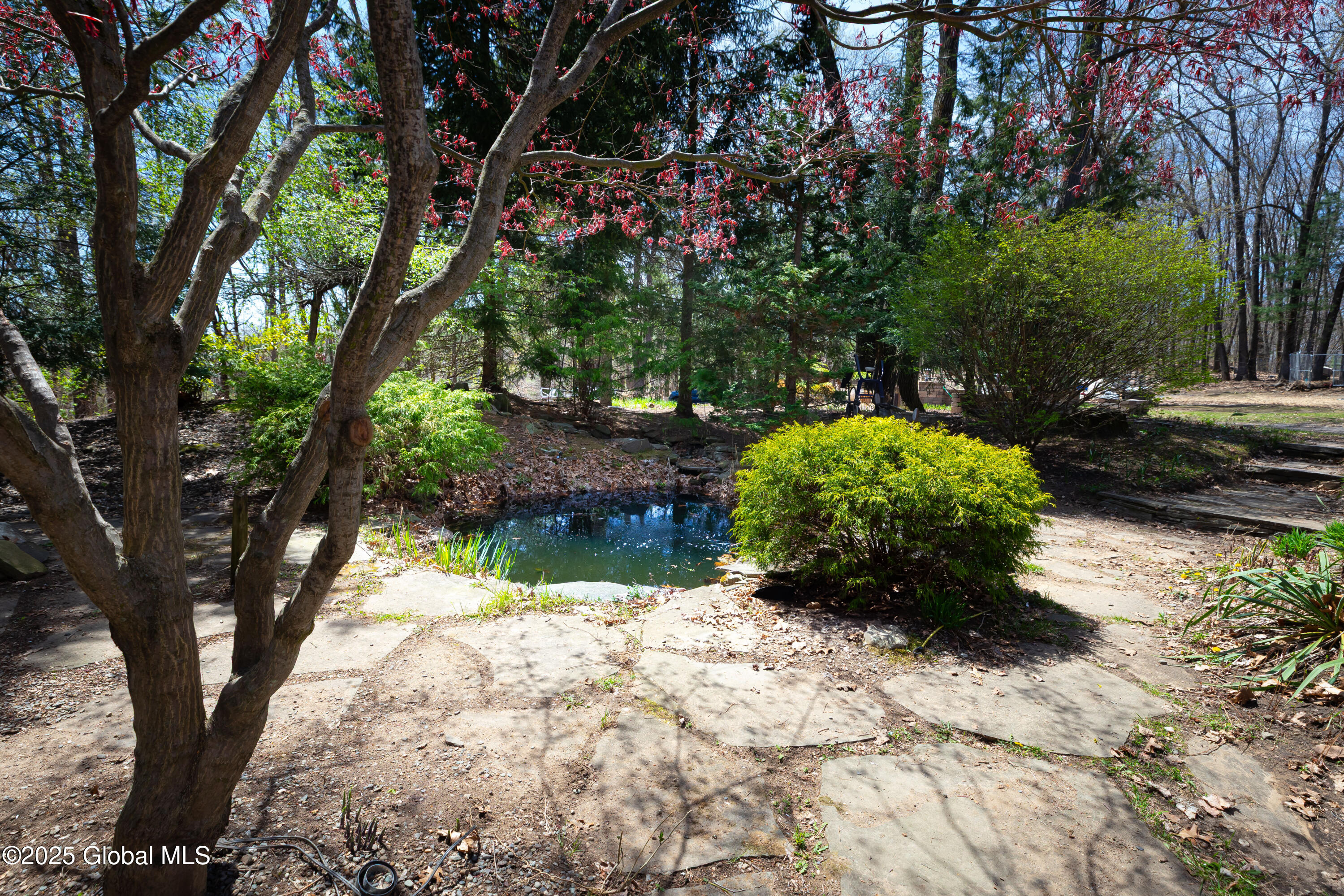 178 Clamsteam Road Halfmoon, NY 12065 - Photo 8 of 52 RDP 25-0429 178 Clamsteam Rd - Milligan