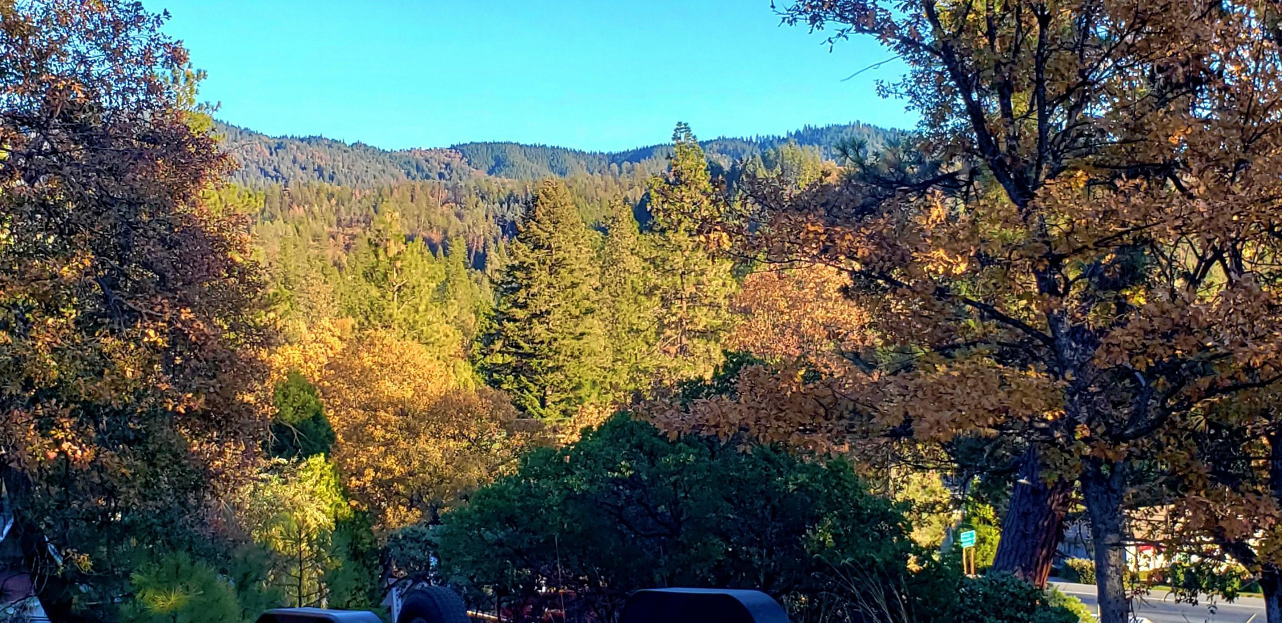92 Reservoir Road Weaverville, CA 96093 - Photo 4 of 58 264575