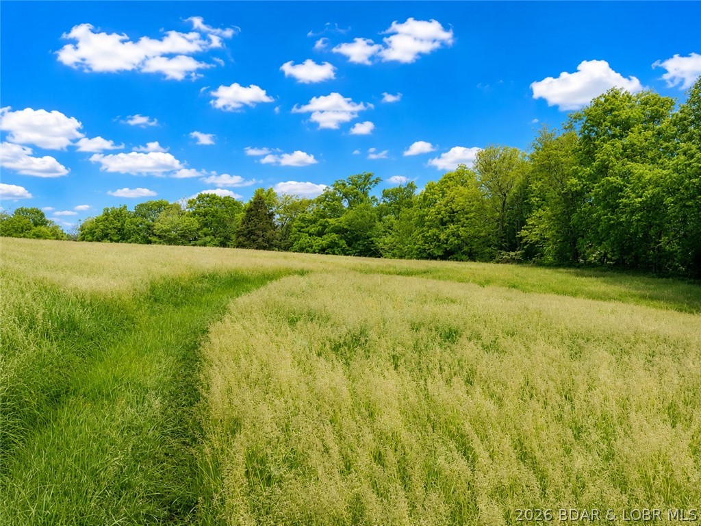 16390 Harris Road Jamestown, MO 65046 - Photo 2 of 9