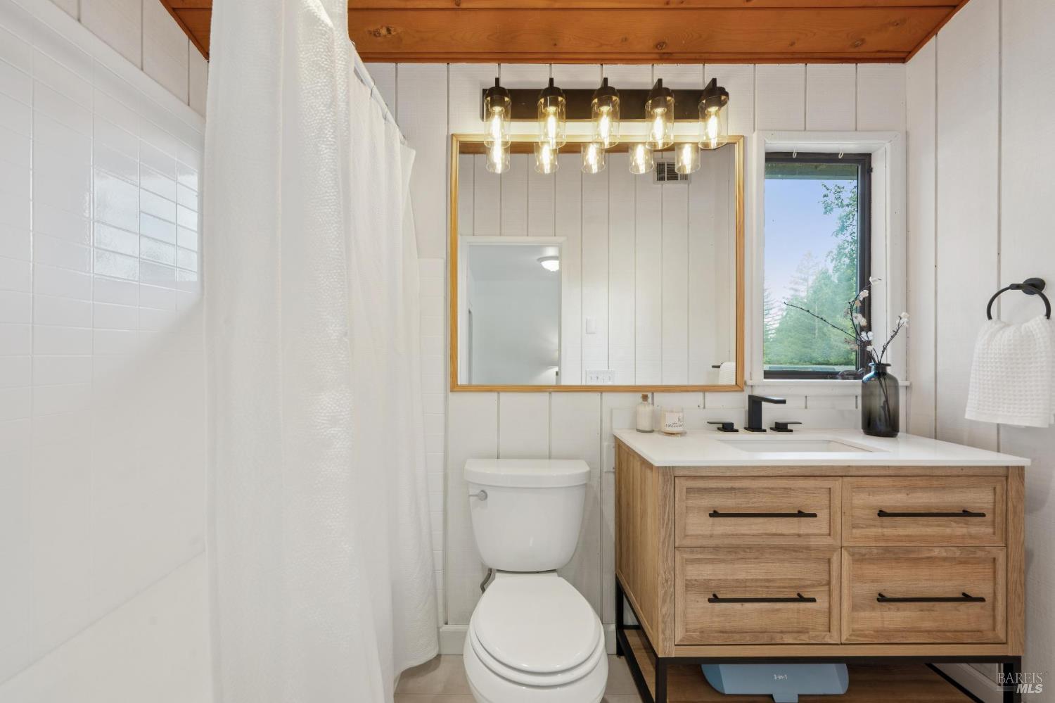 447 Sparkes Road Sebastopol, CA 95472 - Photo 19 of 44 a bathroom with a sink a toilet and shower