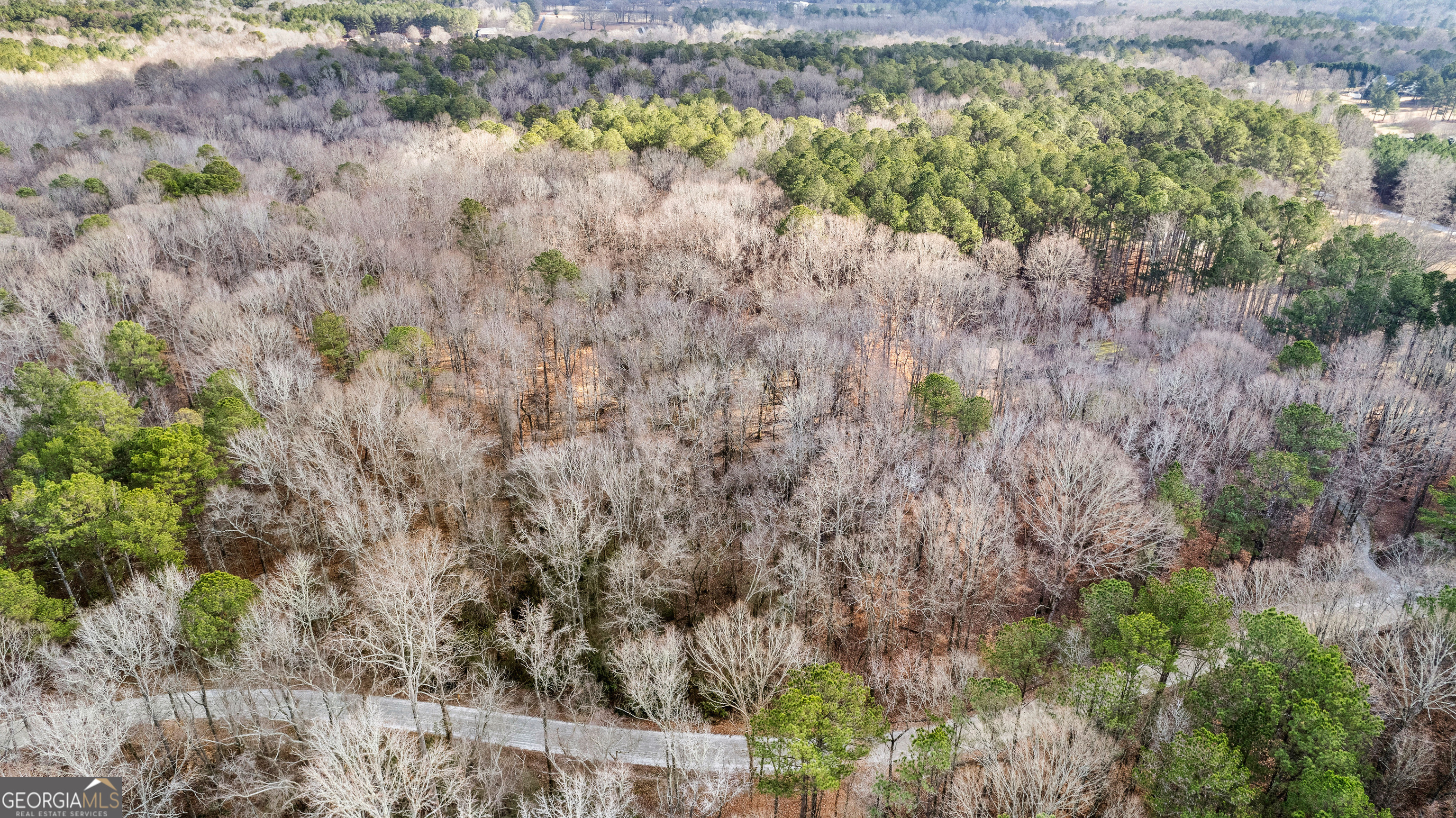 0 Nelms Road Fayetteville, GA 30215 - Photo 1 of 1 a view of a yard with a plant