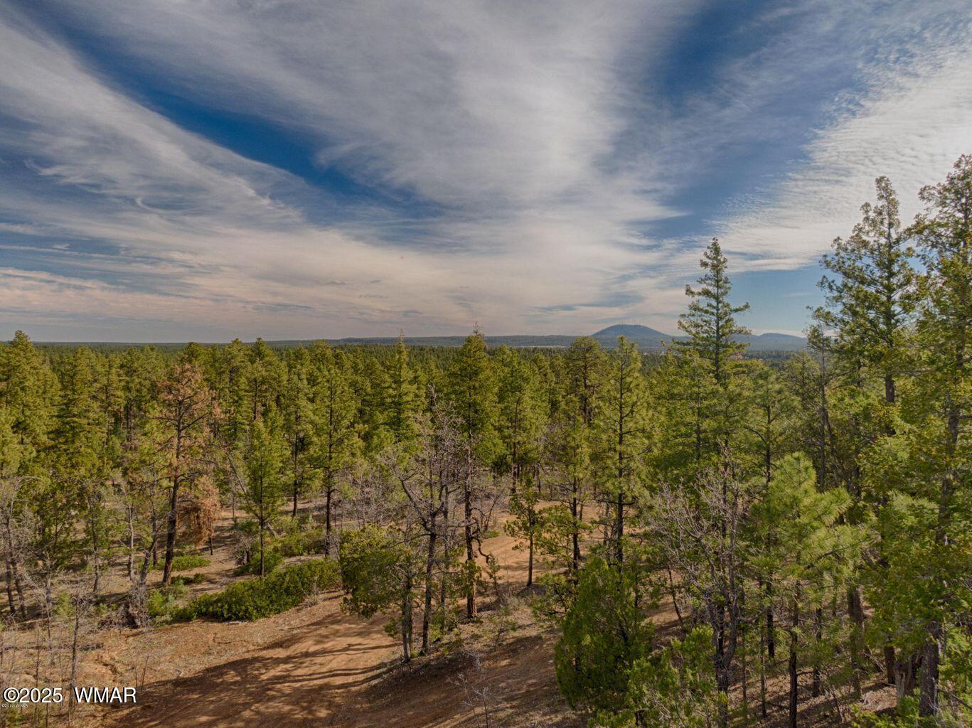 3350 West Rim Road, Unit 4 Lakeside, AZ 85929 - Photo 7 of 8 a view of a lake view
