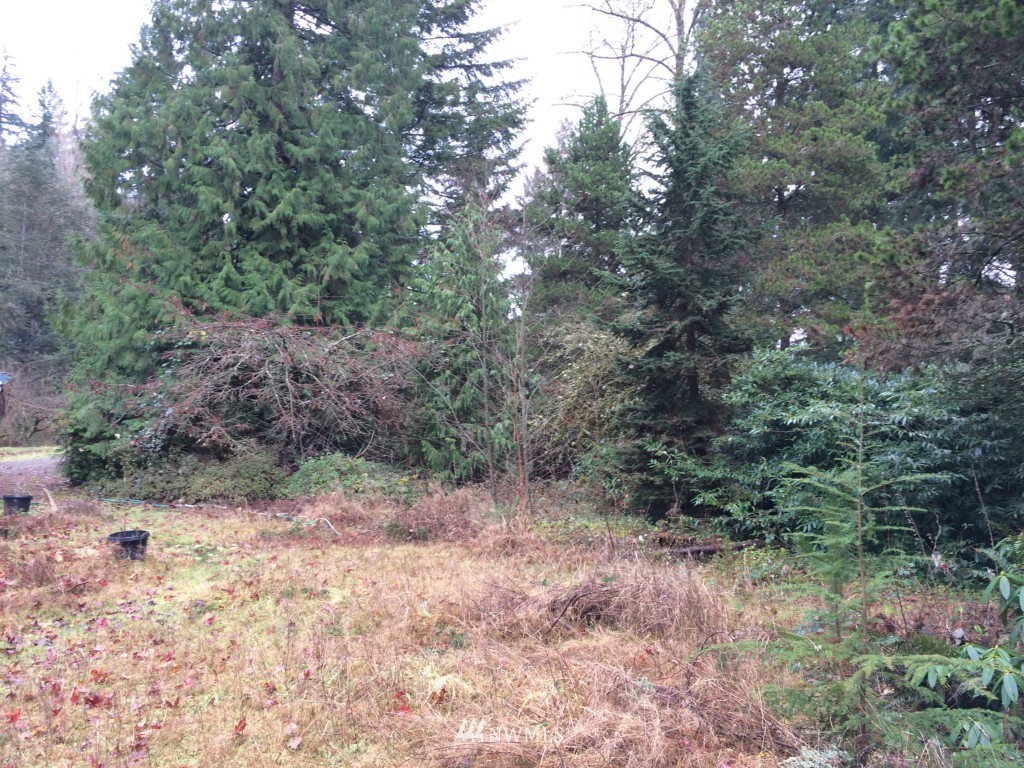 16347 Southeast May Valley Road Renton, WA 98059 - Photo 3 of 16 Gallery Image 3
