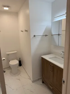 a bathroom with a sink toilet and vanity
