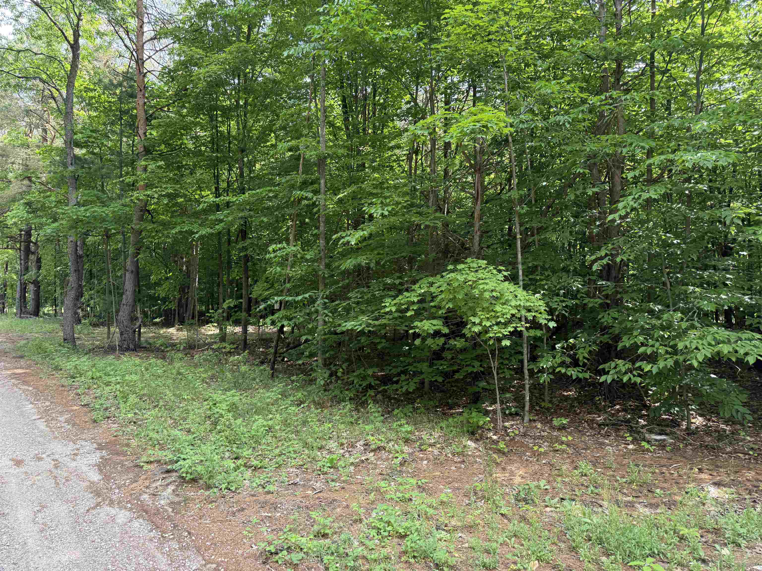 19493 Paradise Ridge Trail Cedar, MI 49684 - Photo 15 of 19