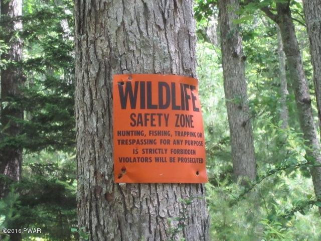110-111 Dorys Road Dingmans Ferry, PA 18328 - Photo 36 of 41