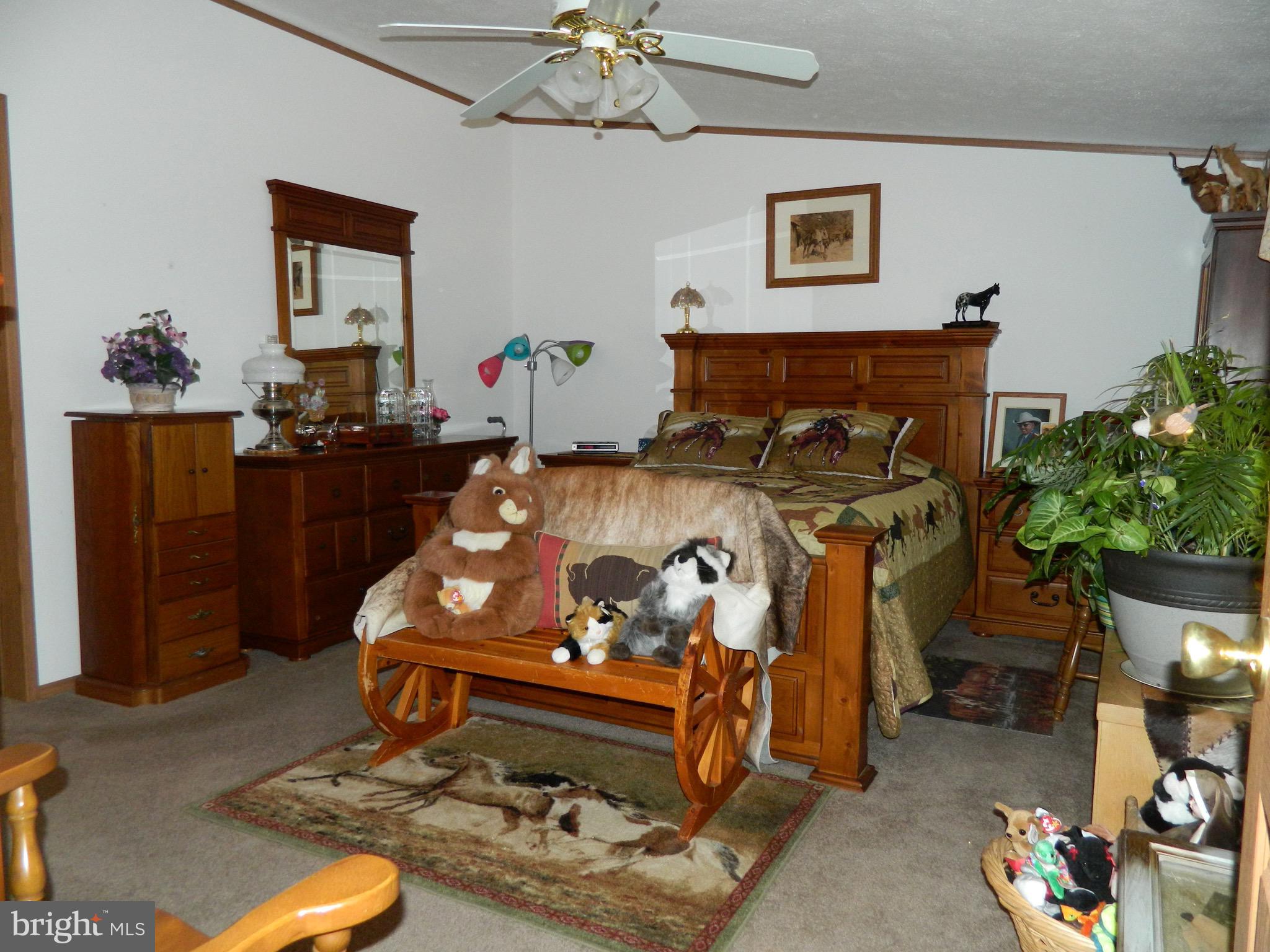 6392 Landing Neck Road Easton, MD 21601 - Photo 12 of 14 Master Bedroom