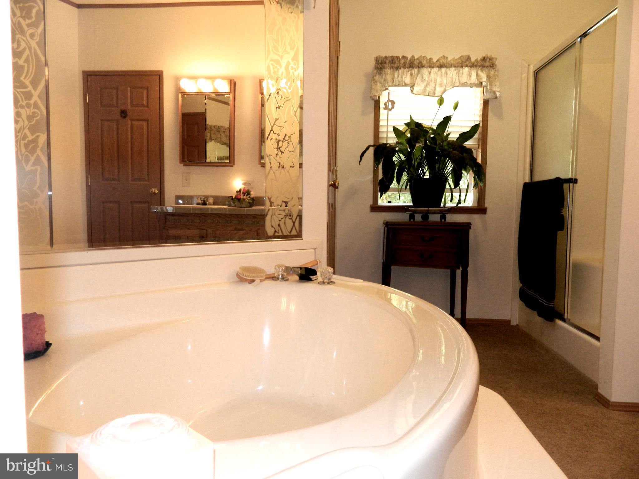 6392 Landing Neck Road Easton, MD 21601 - Photo 13 of 14 Master Bathroom