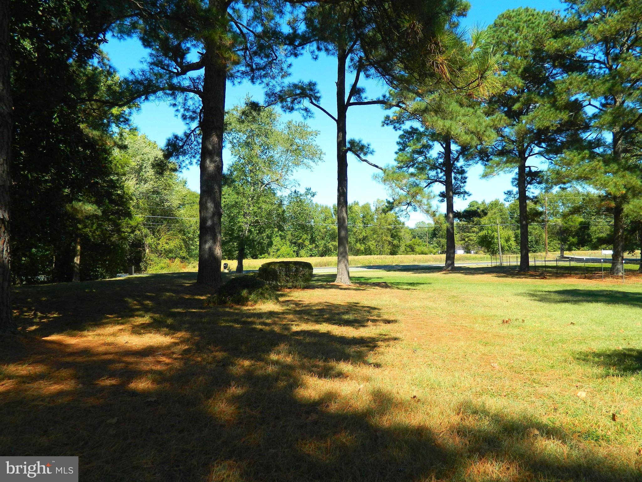 6392 Landing Neck Road Easton, MD 21601 - Photo 4 of 14 Beautiful Front Yard
