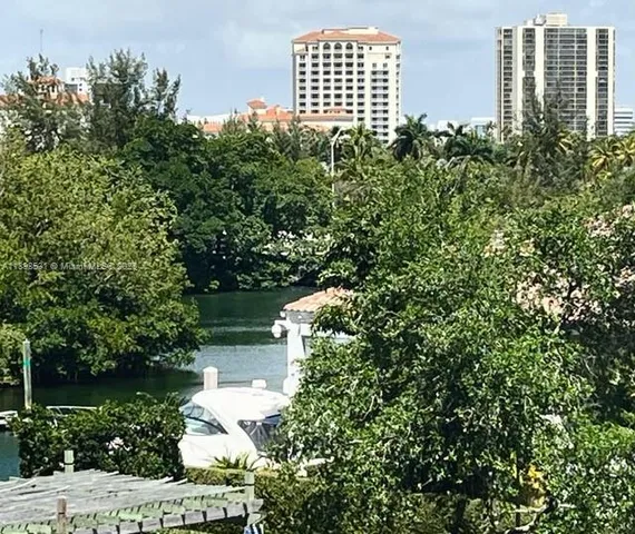 a view of a yard with plants