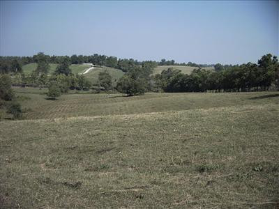 392 Levy Road Paris, KY 40361 - Photo 1 of 2 Photo 1