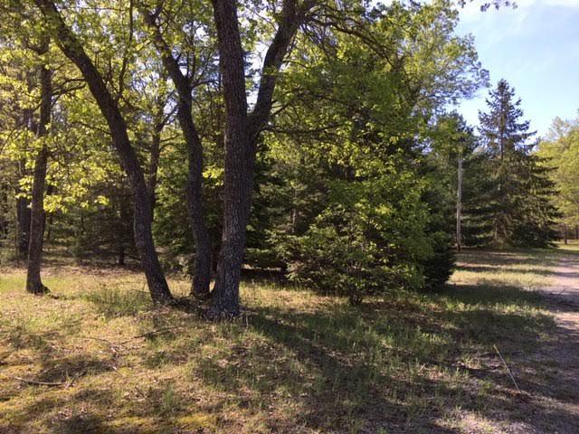 21347 Co Road Hillman, MI 49746 - Photo 20 of 24 Gallery Image 20