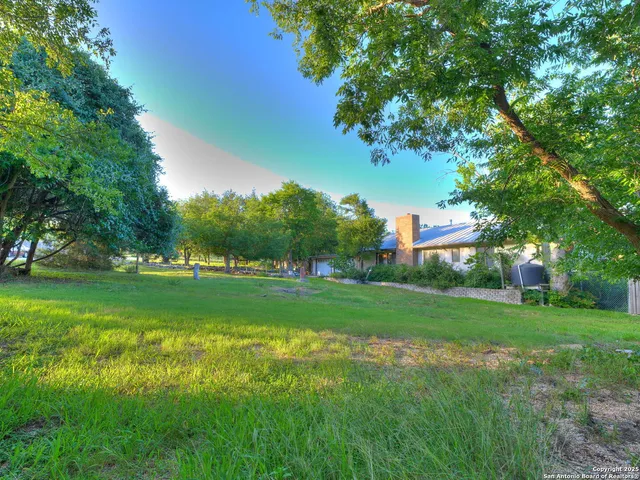 a garden with trees in front of it