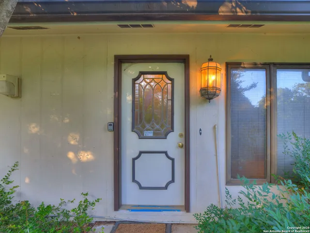 a view of a back yard