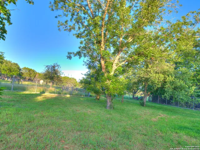 a view of a backyard with large trees