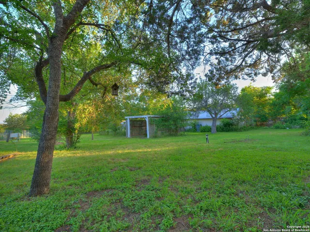 a view of a backyard with plants and garden