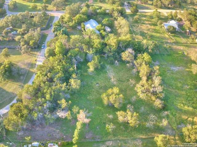a close up of a flower