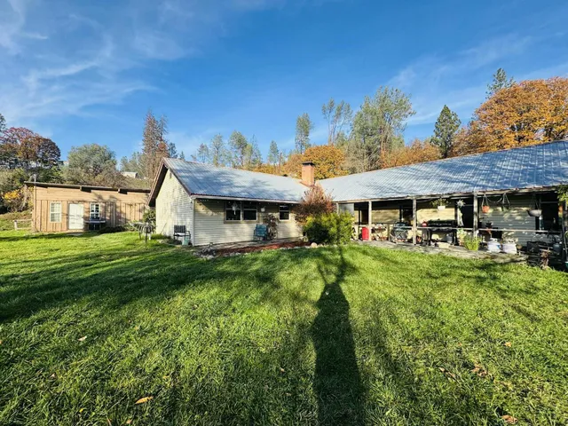 a view of a house with a big yard potted plants and large tree