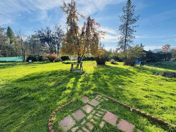 a view of a golf course with a tree