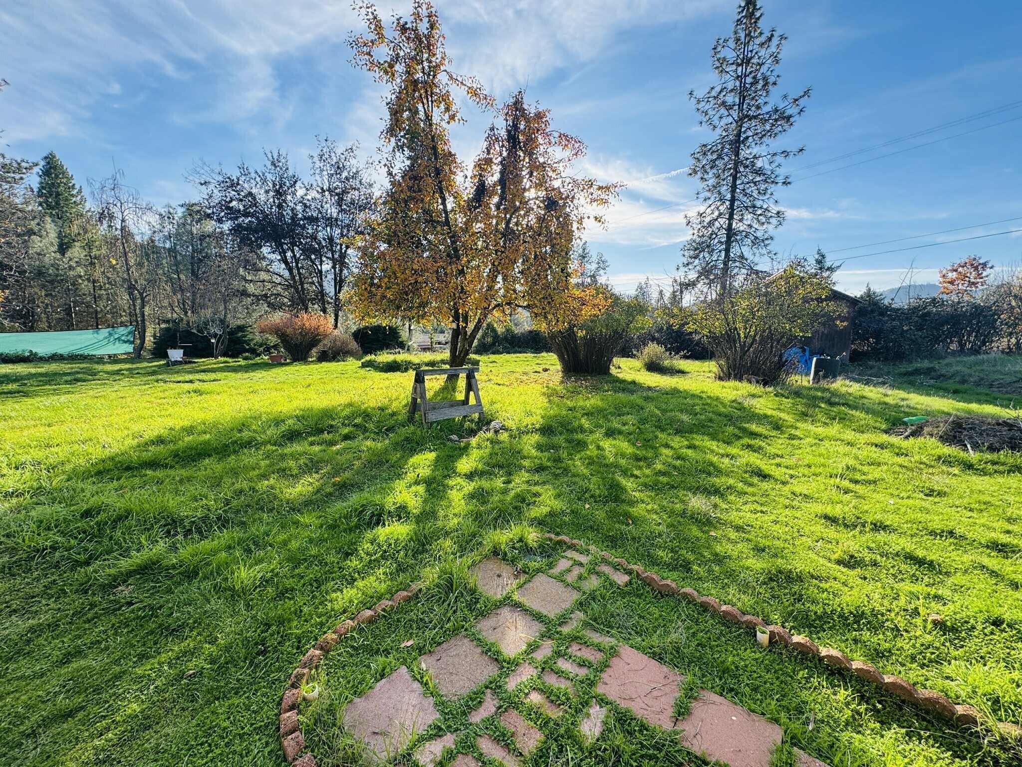 191 Henrietta Road Lewiston, CA 96052 - Photo 11 of 12 a view of a golf course with a tree