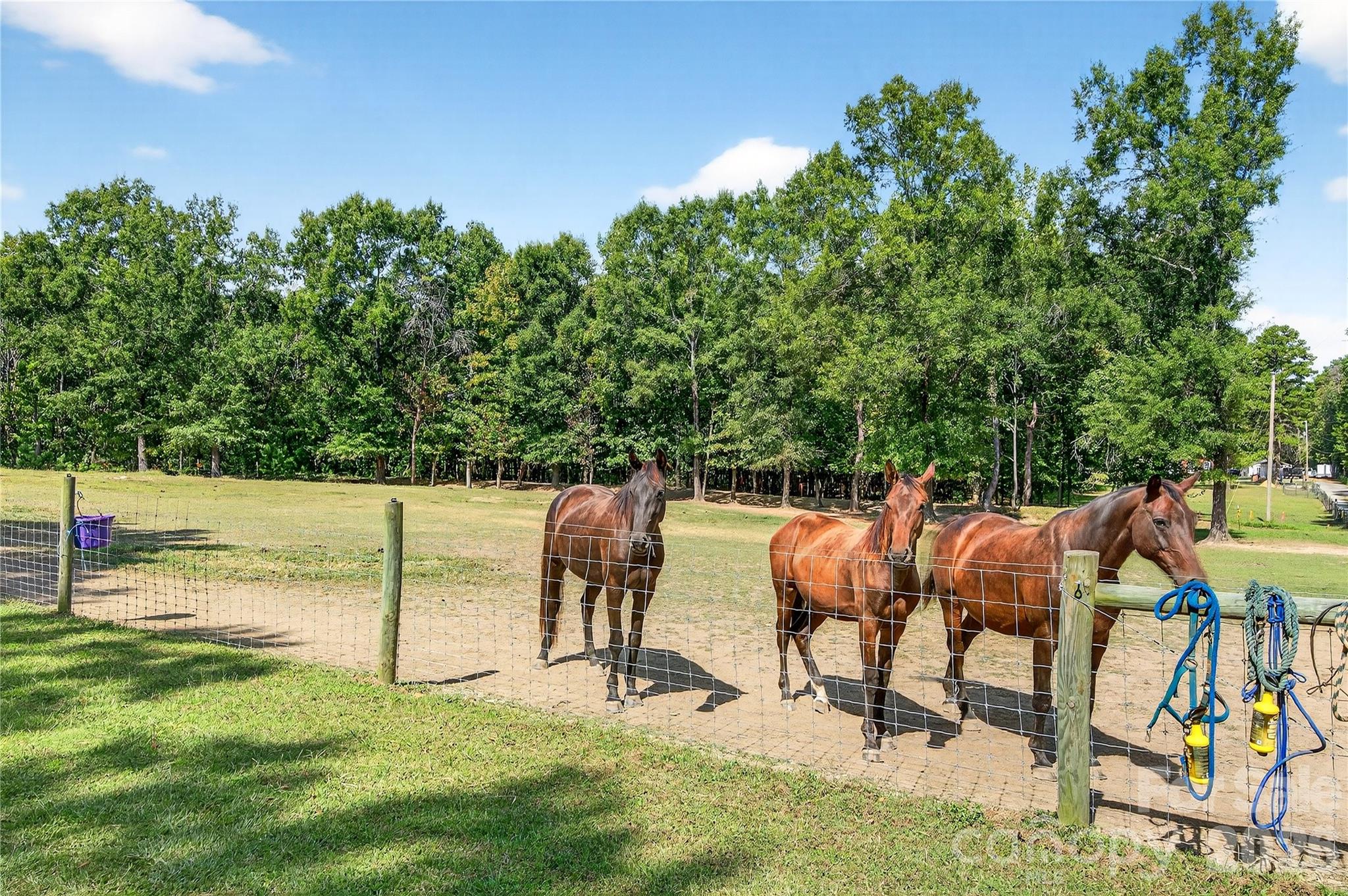 205 Airport Road Monroe, NC 28110 - Photo 3 of 48