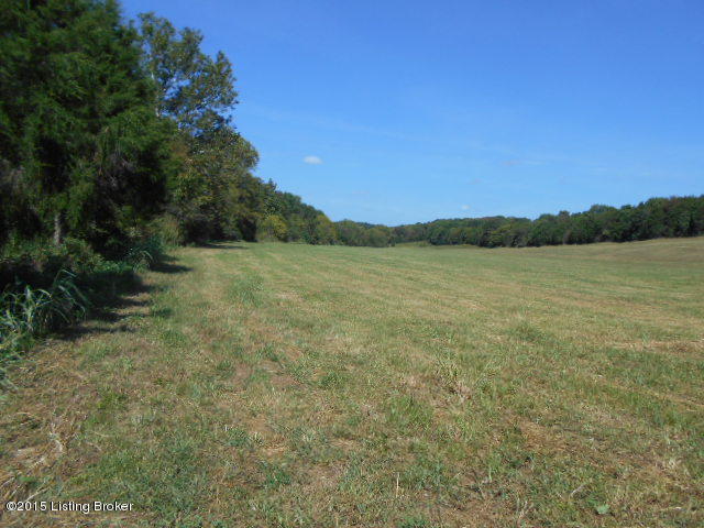 0 Wimsatt Road Loretto, KY 40037 - Photo 8 of 15 DSCN0205