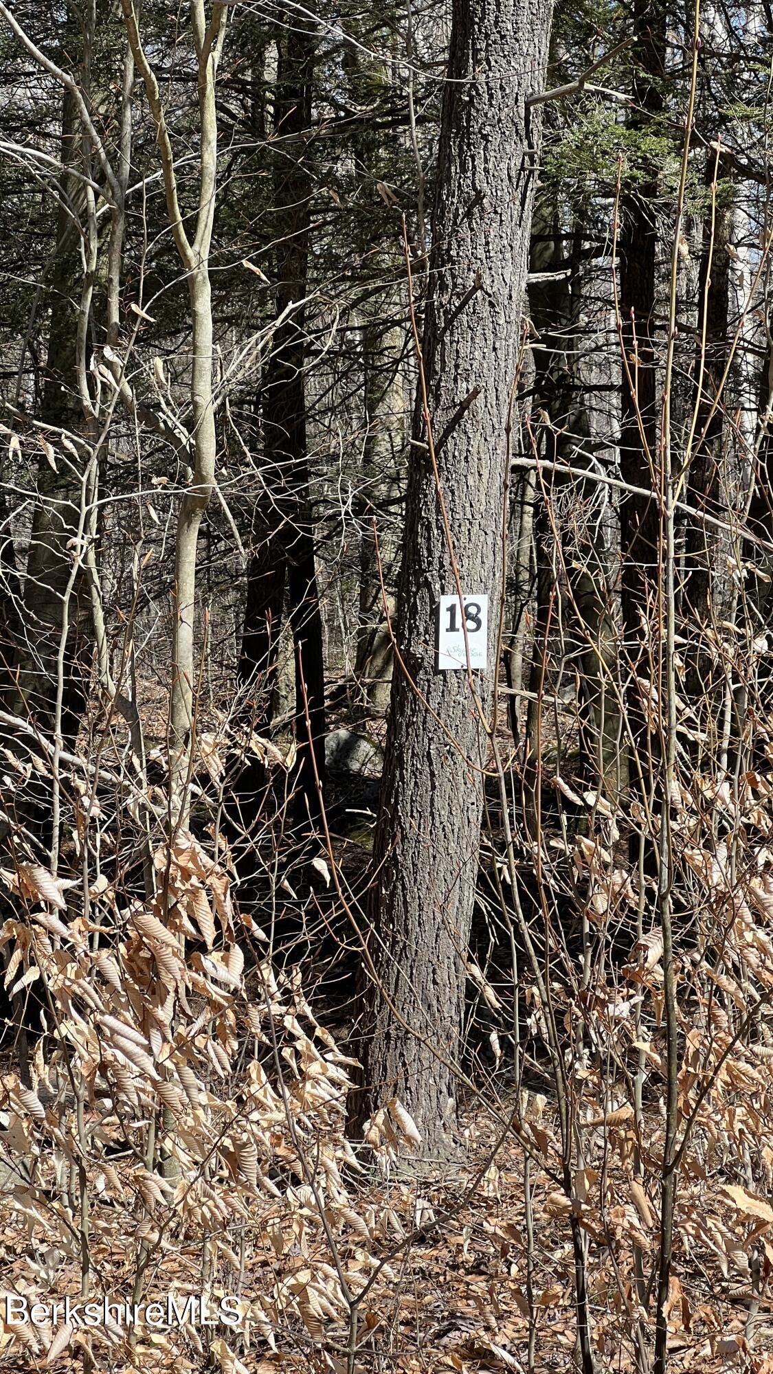 Lot 18 Skyline Ridge Road Becket, MA 01223 - Photo 4 of 8 LOT 18