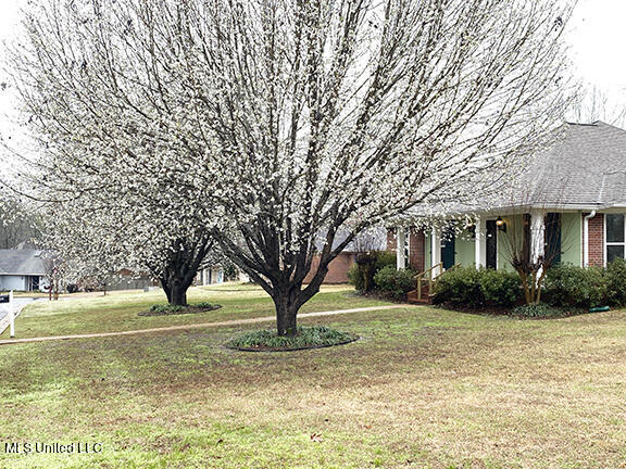 139 Hillcrest Way Ridgeland, MS 39157 - Photo 4 of 39 IMG_7003 copy