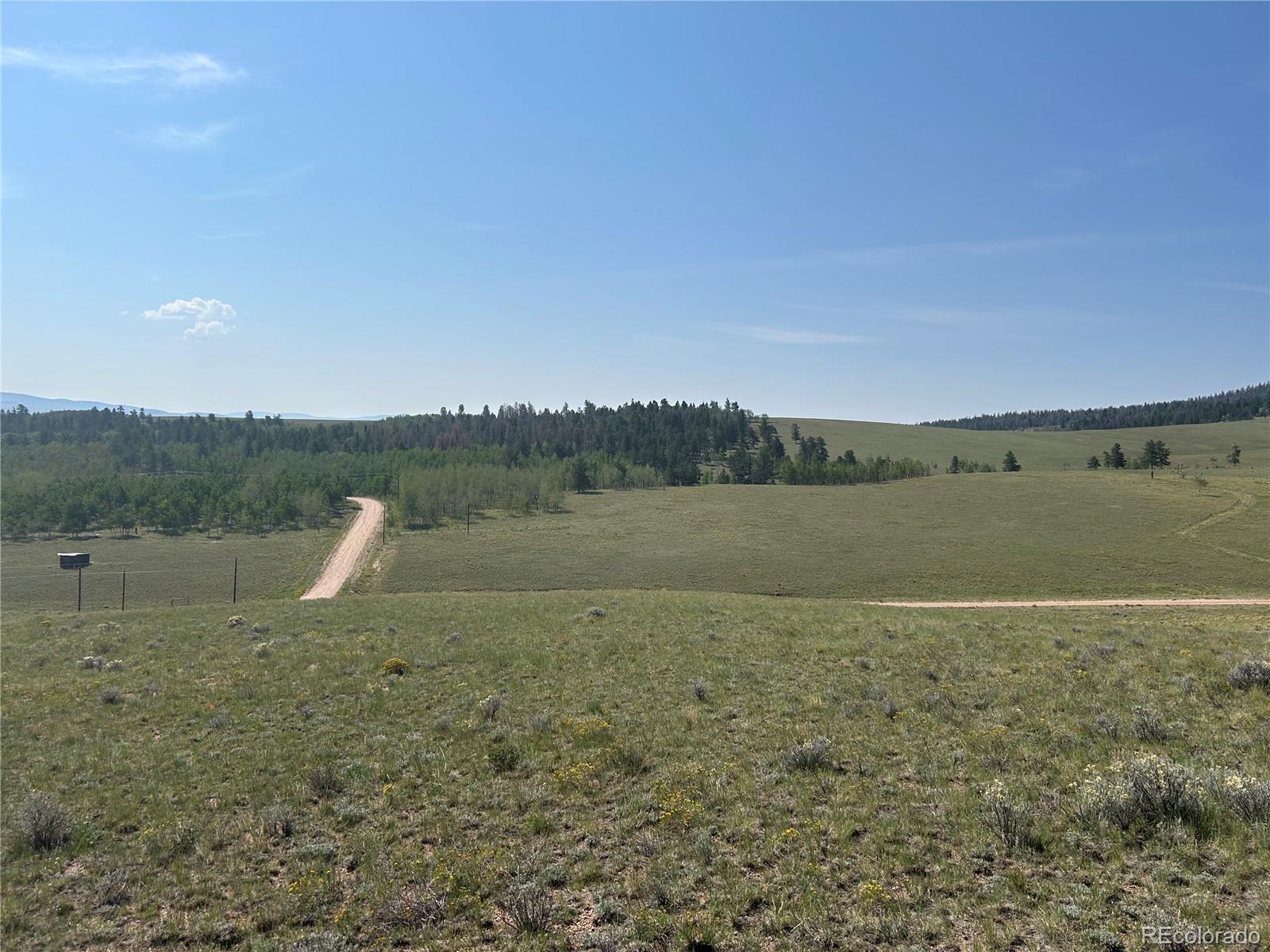 11414 Ranch Road Hartsel, CO 80449 - Photo 7 of 16 Gallery Image 7