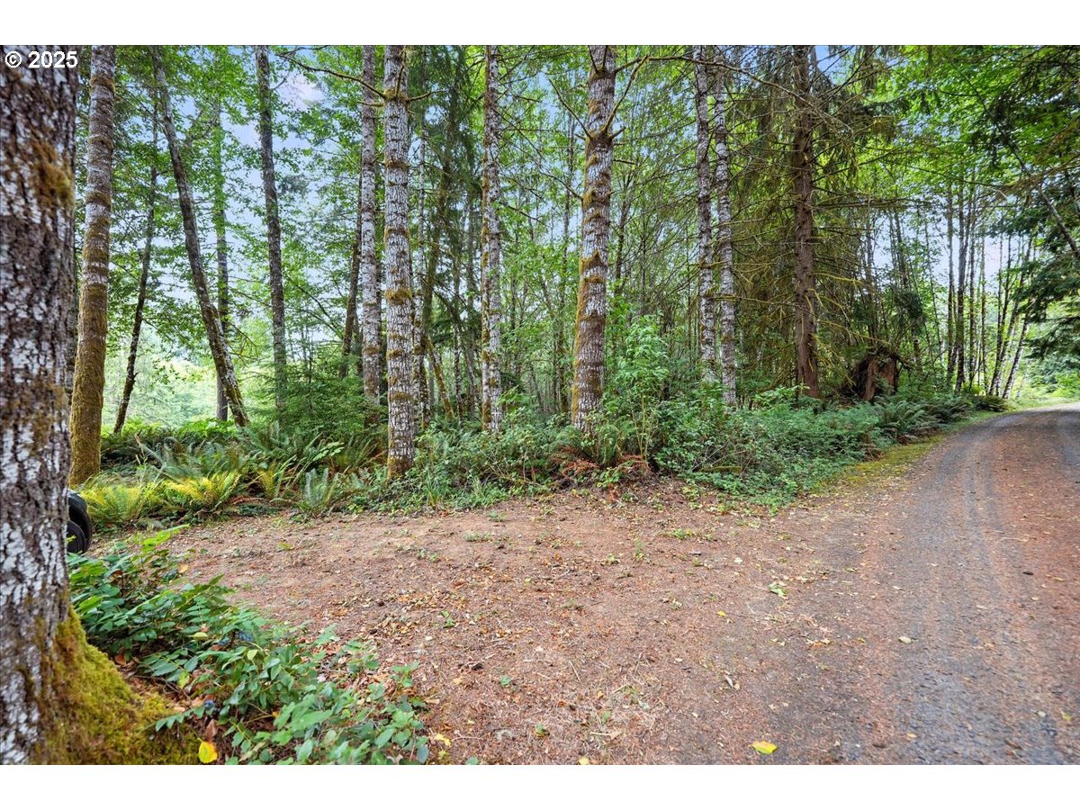 1550 Slide Creek Road Longview, WA 98632 - Photo 12 of 13