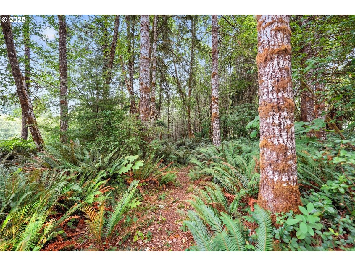 1550 Slide Creek Road Longview, WA 98632 - Photo 13 of 13