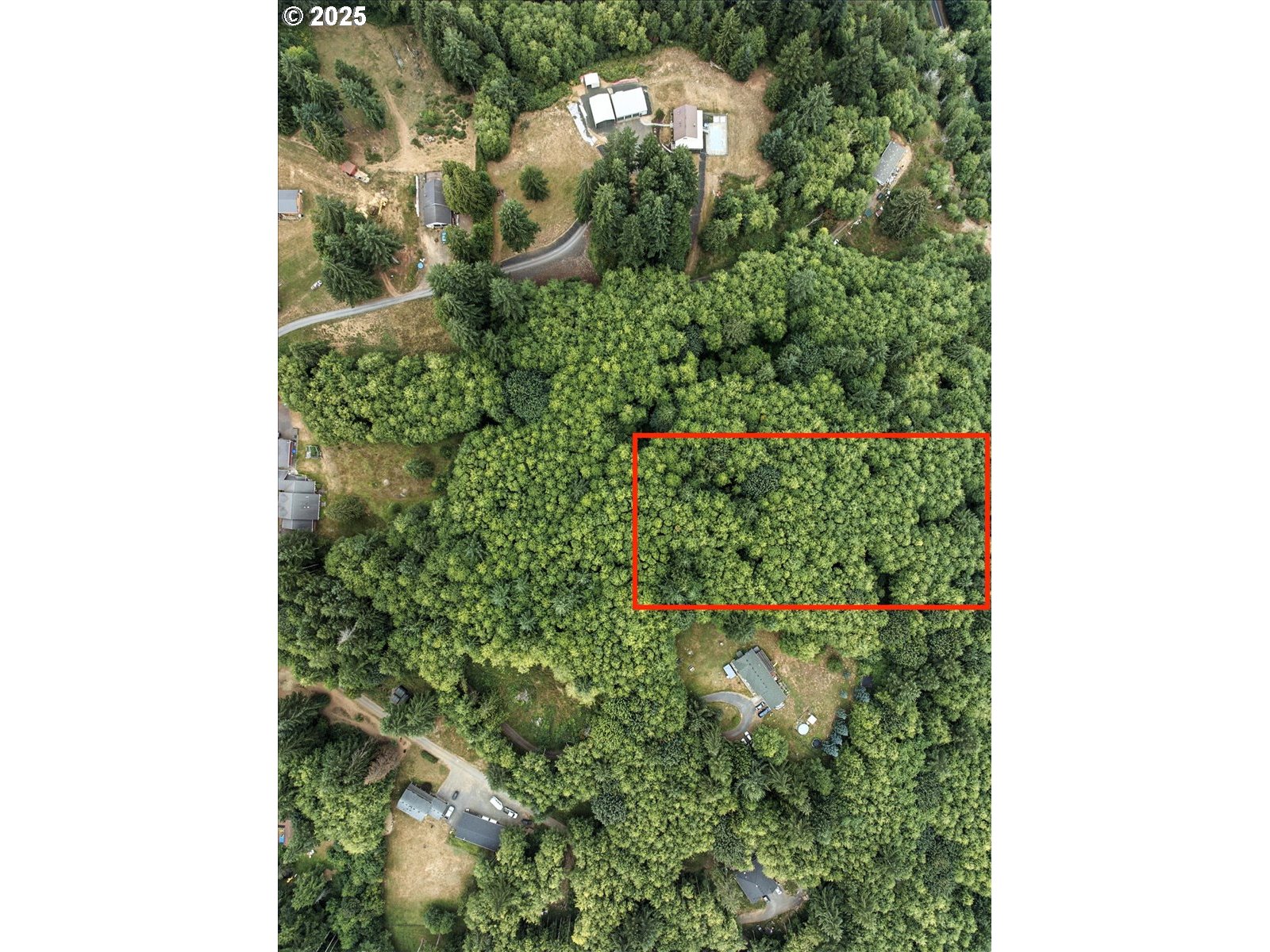 1550 Slide Creek Road Longview, WA 98632 - Photo 2 of 13