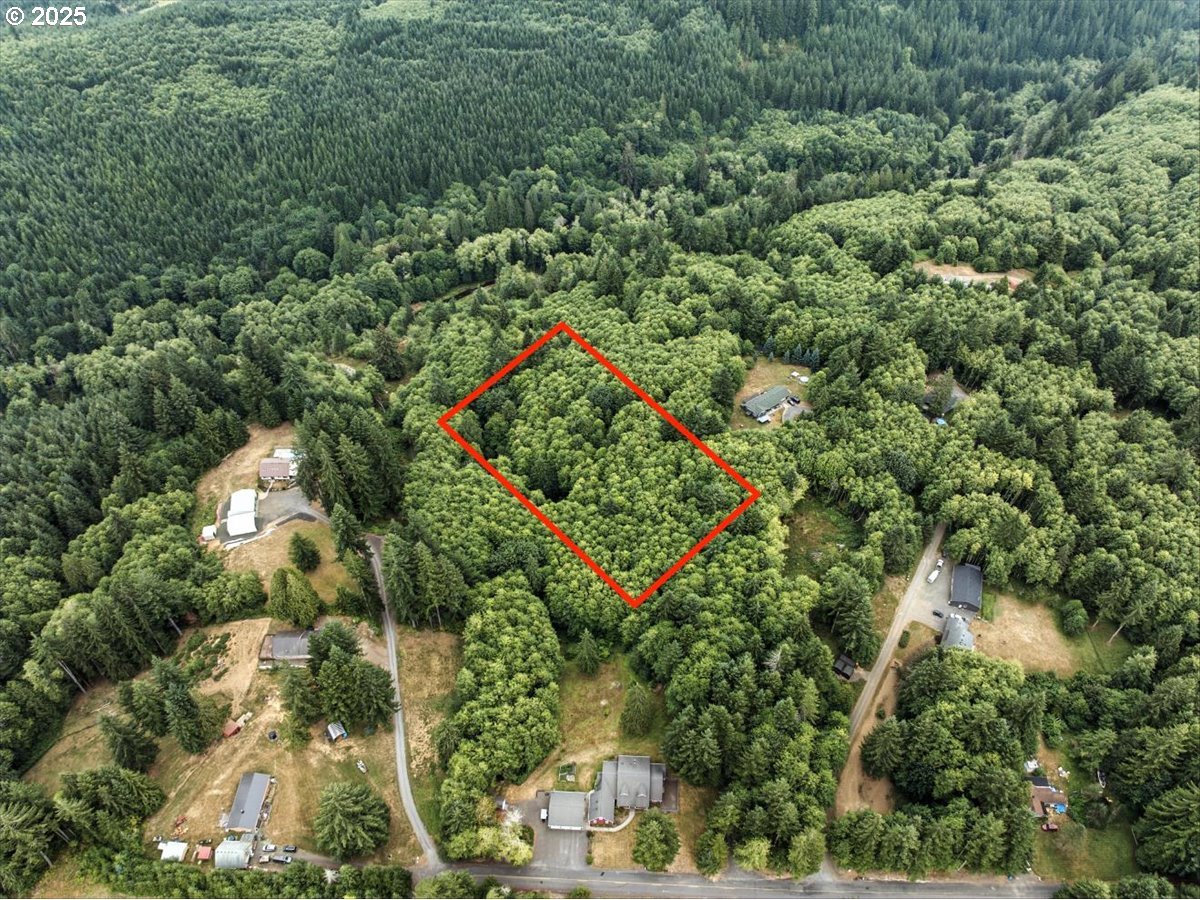 1550 Slide Creek Road Longview, WA 98632 - Photo 4 of 13