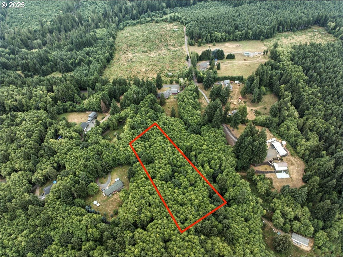 1550 Slide Creek Road Longview, WA 98632 - Photo 5 of 13