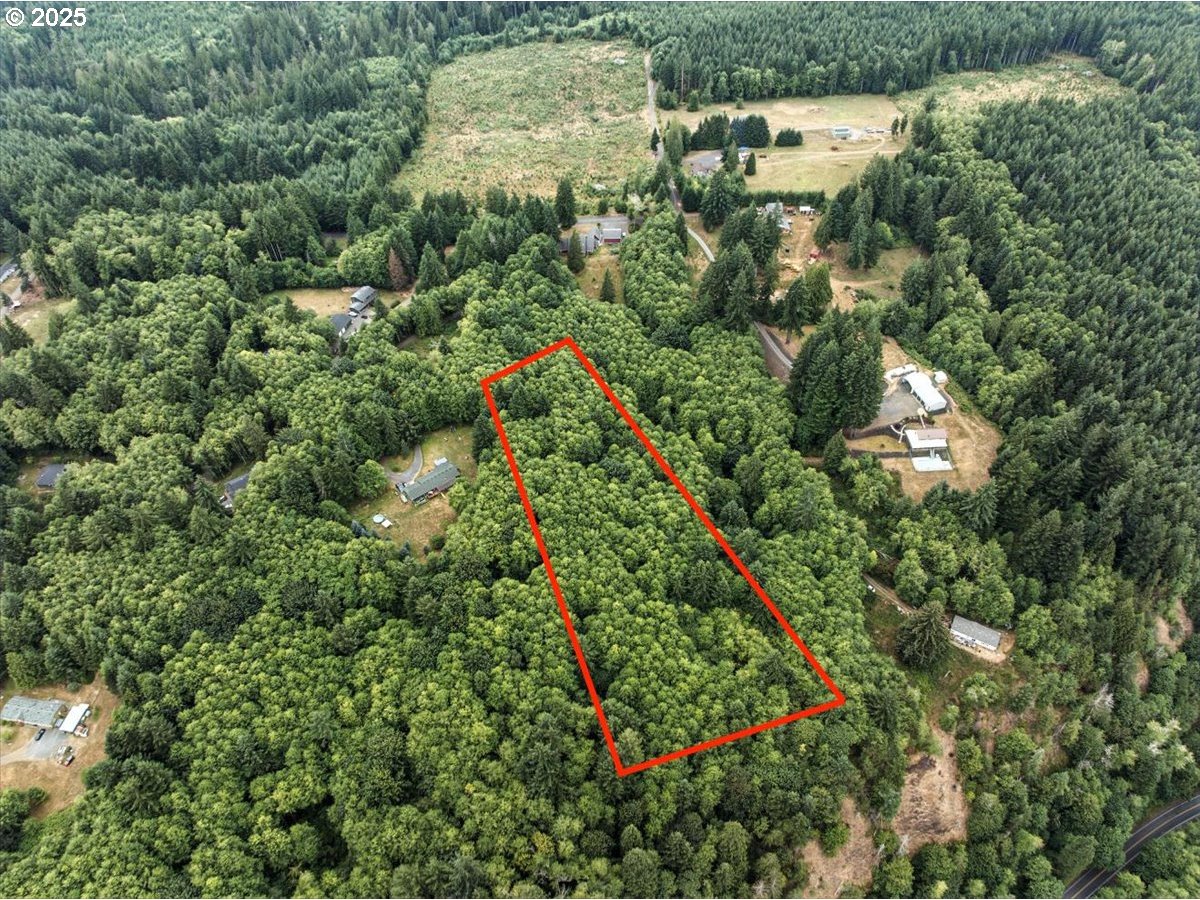 1550 Slide Creek Road Longview, WA 98632 - Photo 6 of 13