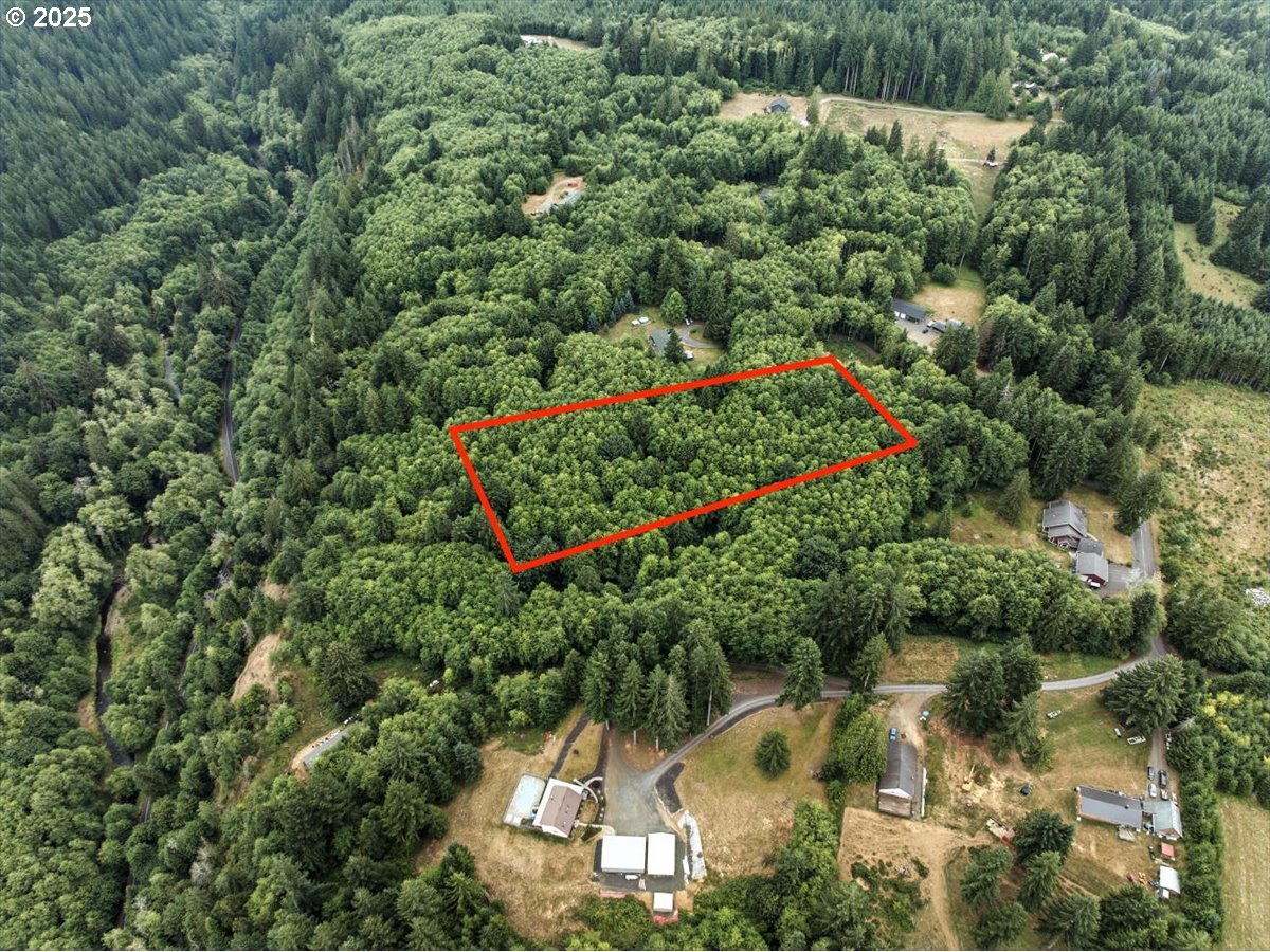 1550 Slide Creek Road Longview, WA 98632 - Photo 7 of 13