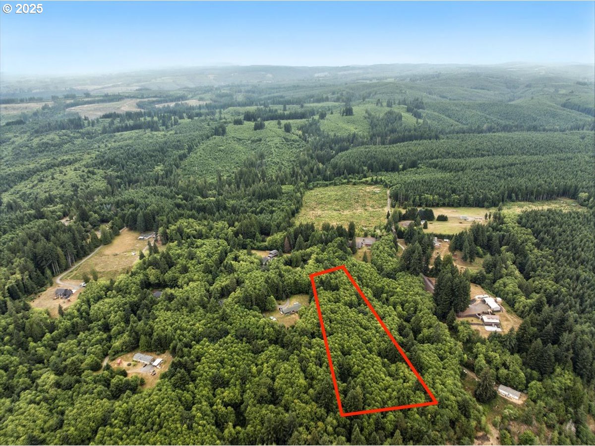 1550 Slide Creek Road Longview, WA 98632 - Photo 8 of 13