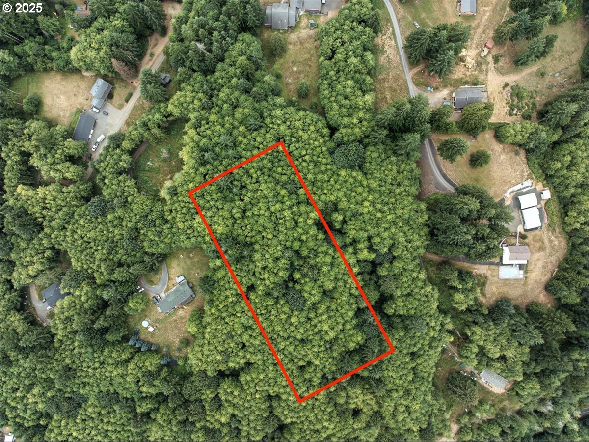 1550 Slide Creek Road Longview, WA 98632 - Photo 9 of 13