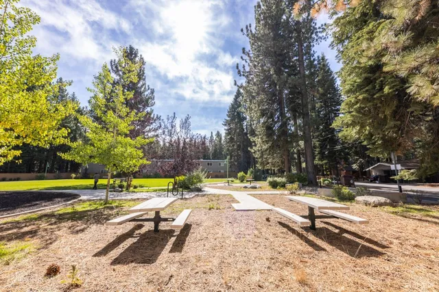 a view of a swimming pool with a lawn chairs and with plants